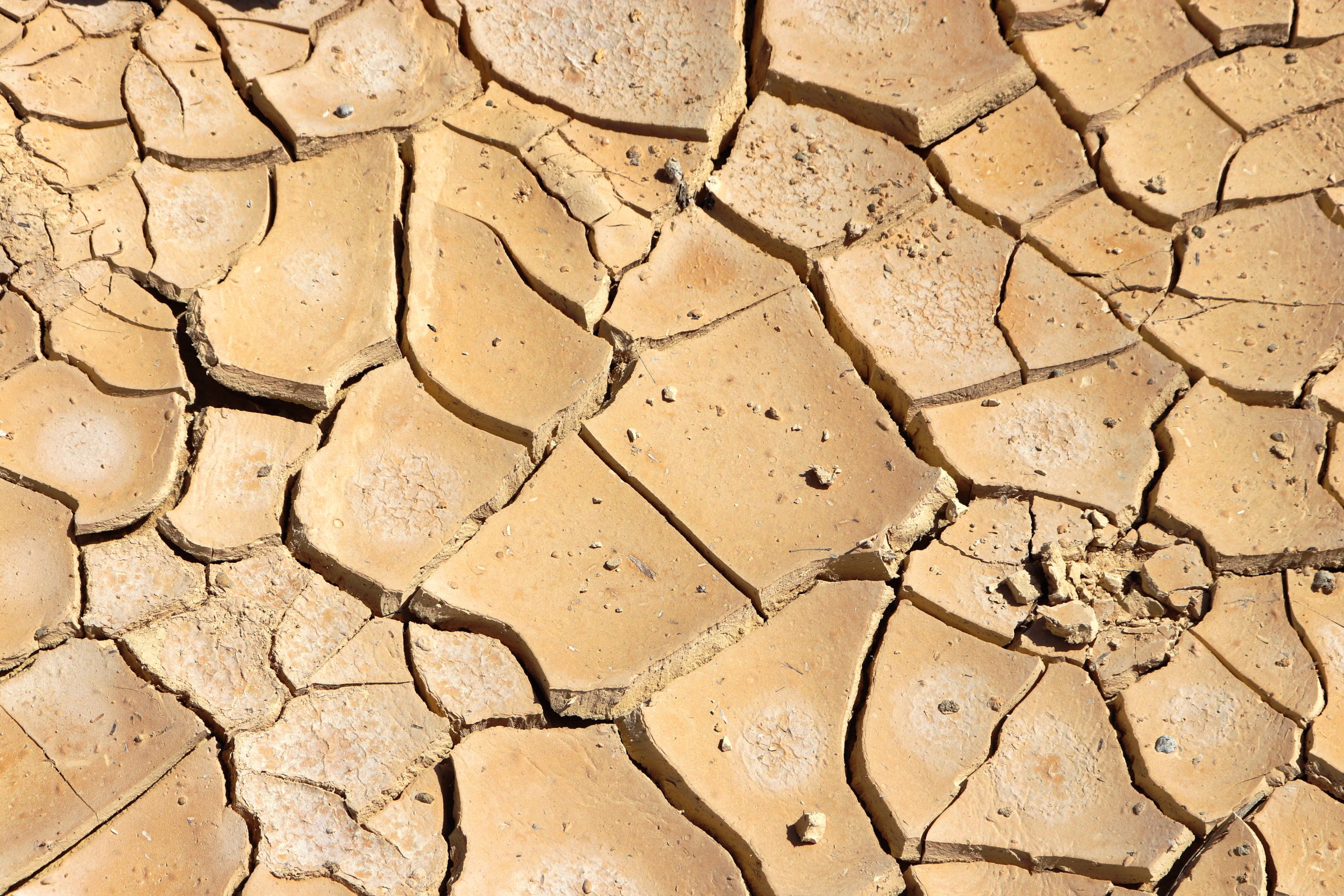 Siccità, in Piemonte si va verso gli Stati Generali dell’Acqua: la Regione consulta tecnici ed esperti