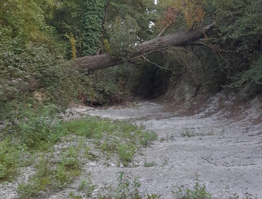 LA FOTO: il letto completamente secco del torrente Caramagna