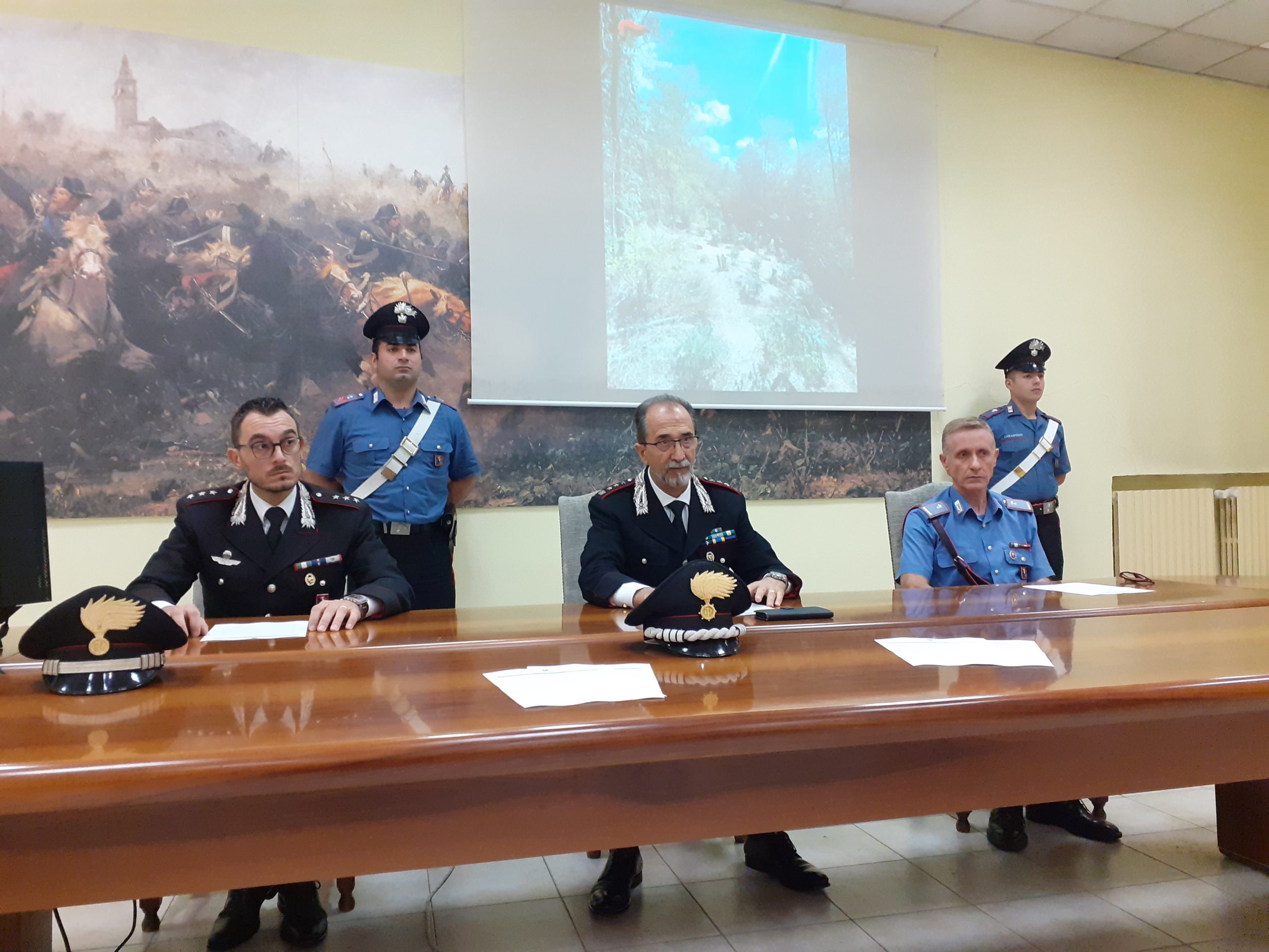 Piantagione di cannabis in un bosco a Castellania: due arresti. La droga poi spedita per posta