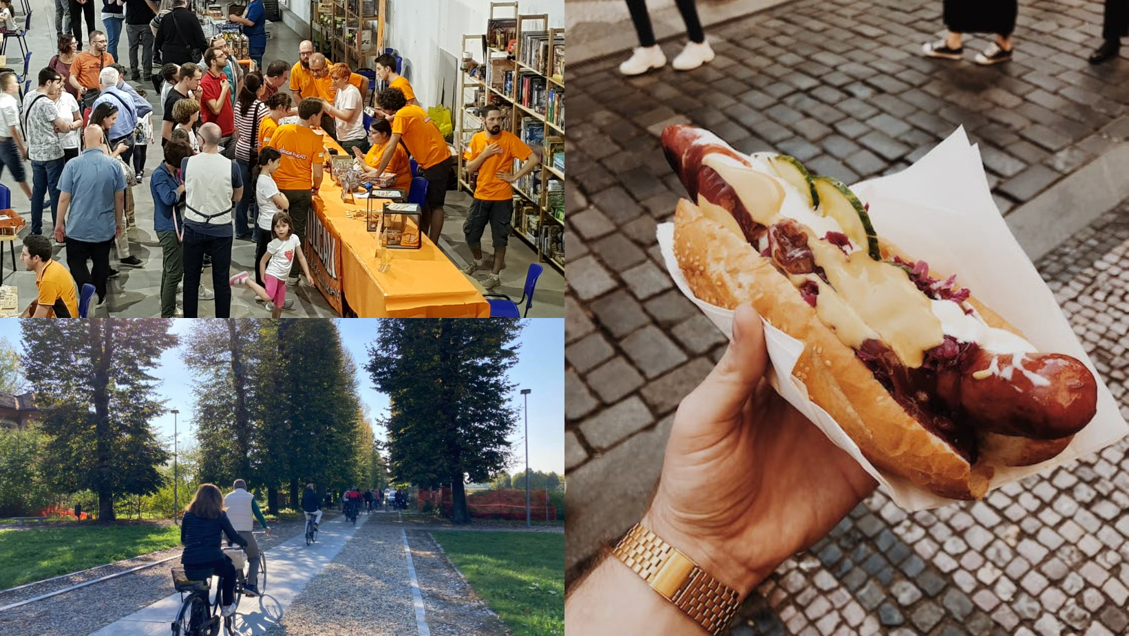 Cosa fare in provincia di Pavia. Gli eventi di domenica 25 settembre