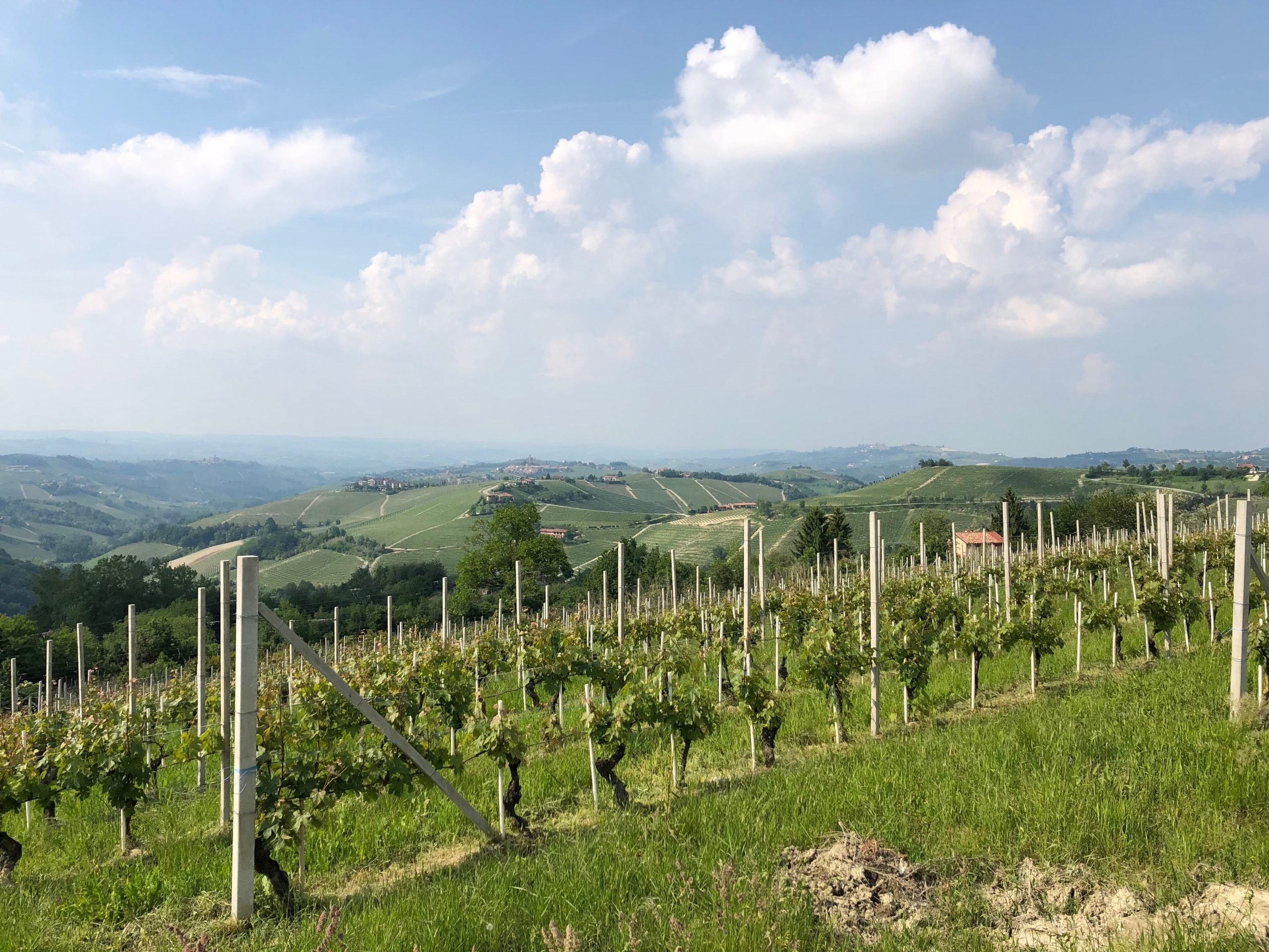 Piemonte sempre più amato dai turisti stranieri: crescita del 15% e sorpasso su arrivi degli italiani