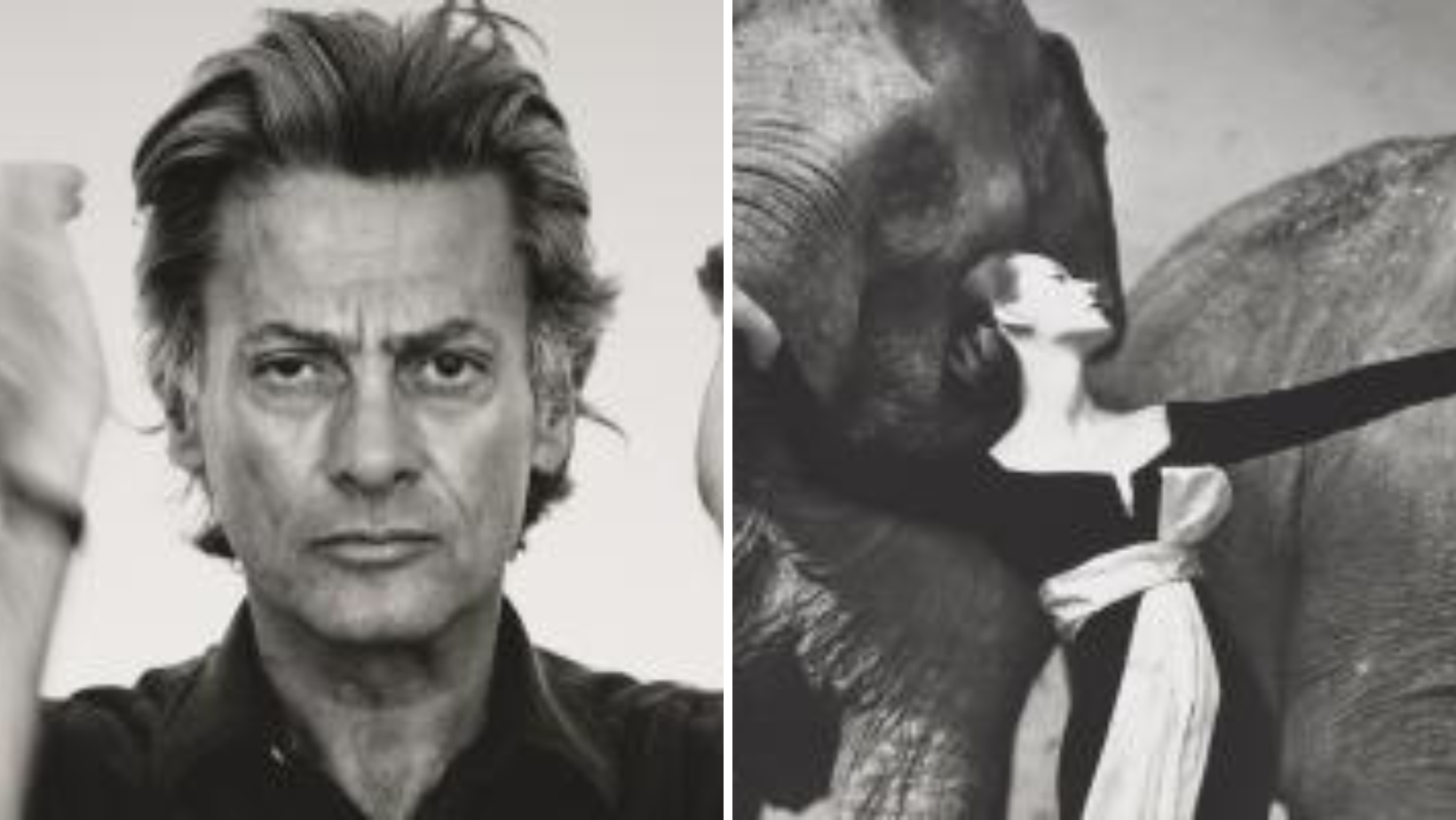 Oltre 3000 i visitatori nel primo weekend della mostra di Richard Avedon a Milano