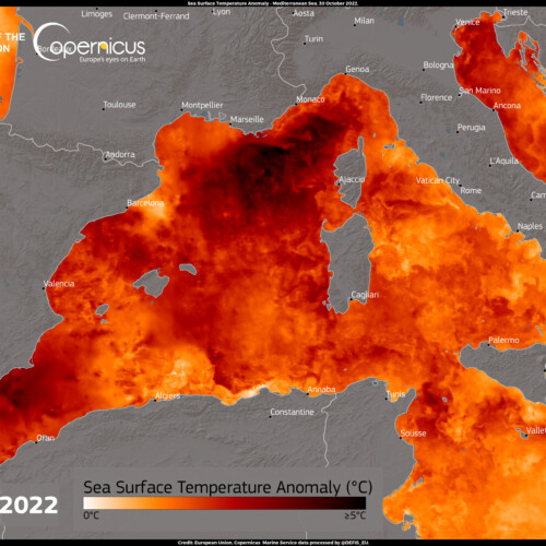 Anche il mare mostra le anomalie del clima: temperature fino a 5 gradi sopra la media