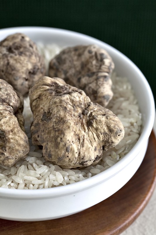 Autunno goloso nelle province di Alessandria e di Asti: le Fiere e le Tavole del Tartufo 2022