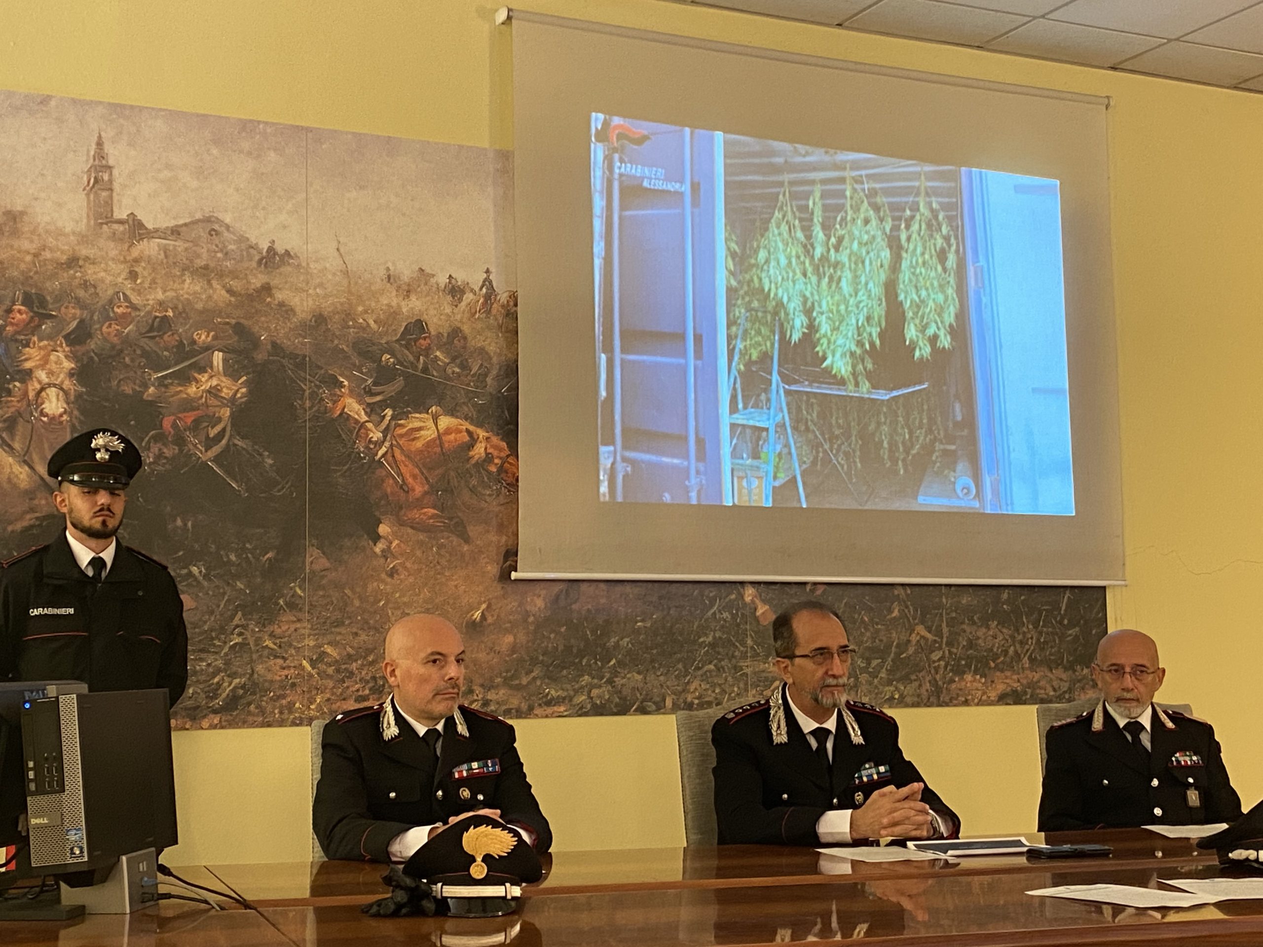Già arrestato nel 2019 torna a coltivare cannabis nelle campagne di Oviglio