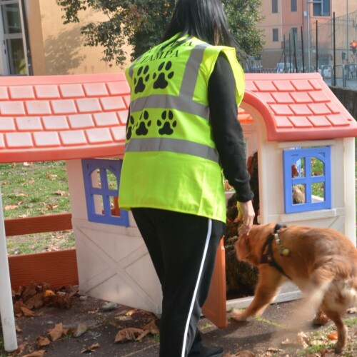 Alle scuole Zanzi e Ferrero del quartiere Cristo il progetto “A tutta zampa” dedicati agli animali