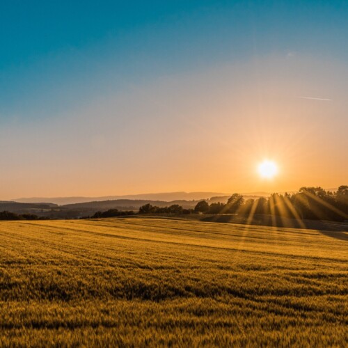 Temperature primaverili in provincia di Alessandria: sfiorati i 20 gradi