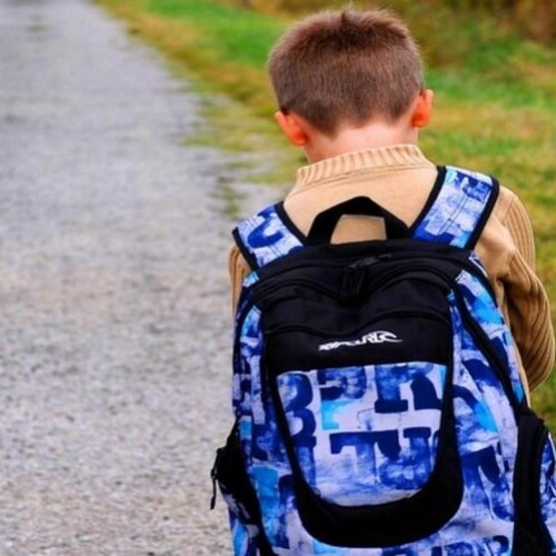 Allontanamento Zero. Frediani, Bertola (M4O): “Approccio ideologico che rischia di danneggiare minori e famiglie”