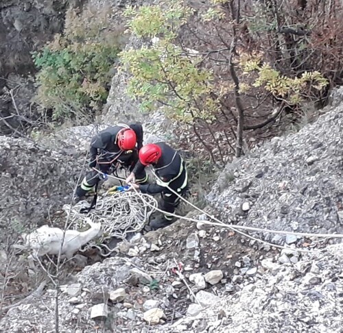 Tratte in salvo le tre capre finite in un burrone a Rocchetta Ligure