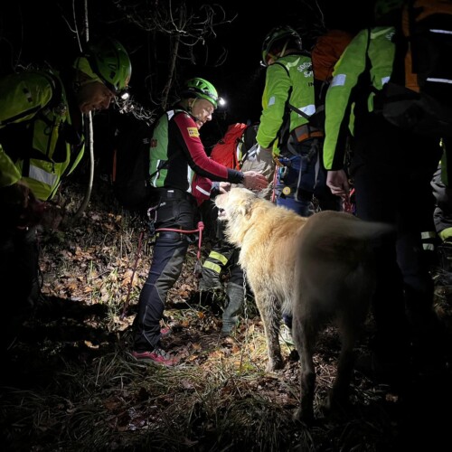 Scivola e finisce in una scarpata nei boschi sopra Melazzo. Trovata e soccorsa