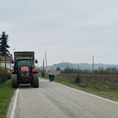Incidente tra Lu e Mirabello: palo cade dopo urto