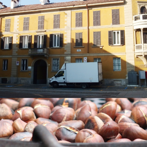 Castagnata di novembre a Pavia: tante caldarroste in Piazza Petrarca