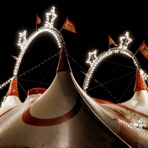 Dal 25 novembre ad Alessandria il Busnelli Niuman Circus, uno spettacolo senza animali