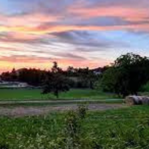 Il Guardian esalta l’Oltrepo: “La Toscana del Nord”