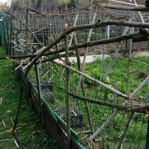“Atti vandalici agli orti del Cristo sono un’offesa a chi si impegna nel migliorare Alessandria”
