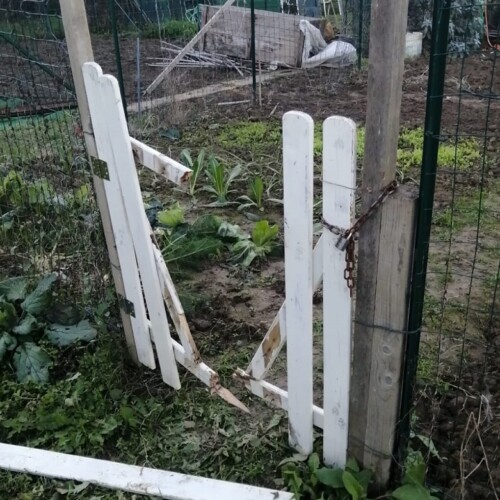 Vandalizzati gli orti del Forte Acqui, Caritas: “Atti barbari, non è la prima volta. Abbiamo denunciato”