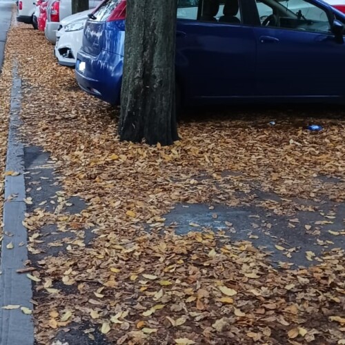 “Parcheggi e marciapiedi con foglie e cartacce, ho pulito io”: lo sfogo di un alessandrino di via Sacco