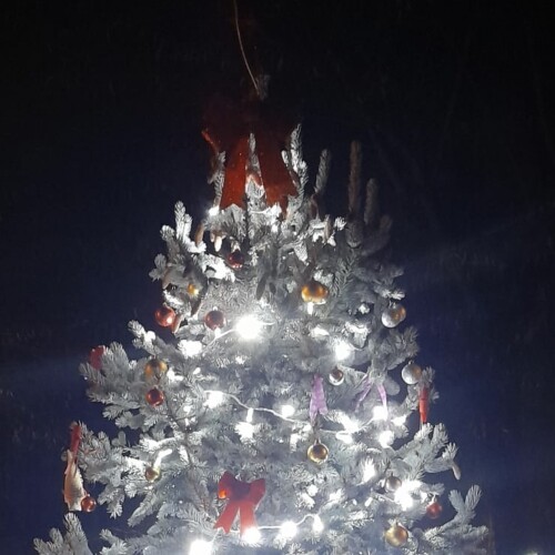 A Bassignana si accende il Natale grazie al Comune e al Memorial Zucconi