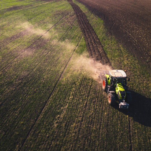 Finisce l’anno “più caldo di sempre” con raccolti tagliati e produzioni agricole a rischio