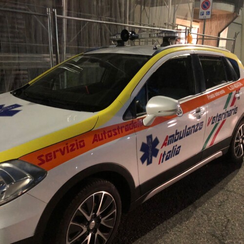 Ambulanza veterinaria: servizio attivo in primavera ma già si formano i volontari