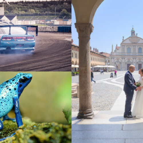 Cosa fare in provincia di Pavia. Gli eventi di sabato 3 dicembre