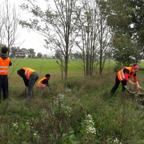 Associazione PassoDopoPasso: prosegue il progetto di inserimento di giovani nelle aziende agricole