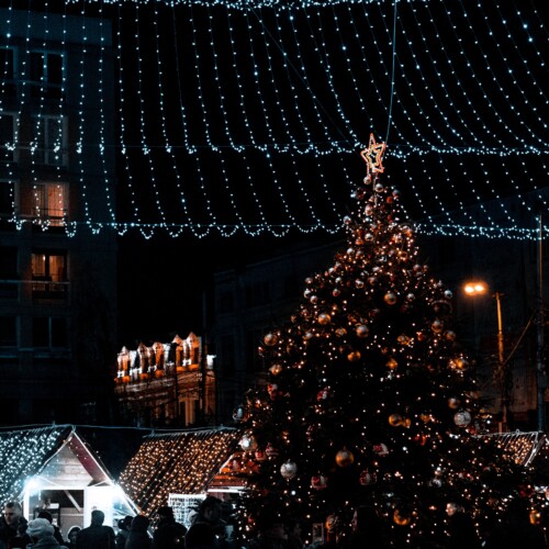 Cosa fare in provincia di Alessandria. Gli eventi di sabato 10 dicembre