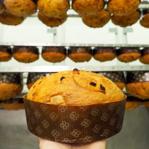 I panettoni più buoni d’Italia per Dissapore: ce n’è anche uno alessandrino