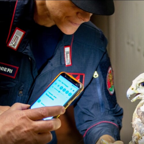 Le aree e le specie protette nel nuovo calendario “Cites” dell’Arma dei Carabinieri