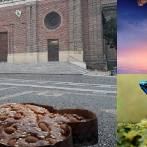 Cosa fare in provincia di Pavia. Gli eventi di domenica 29 gennaio