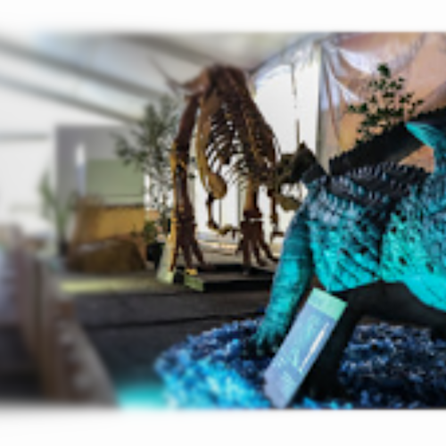I dinosauri arrivano a Pavia. Expo Jurassic in tour al Palazzo Esposizioni