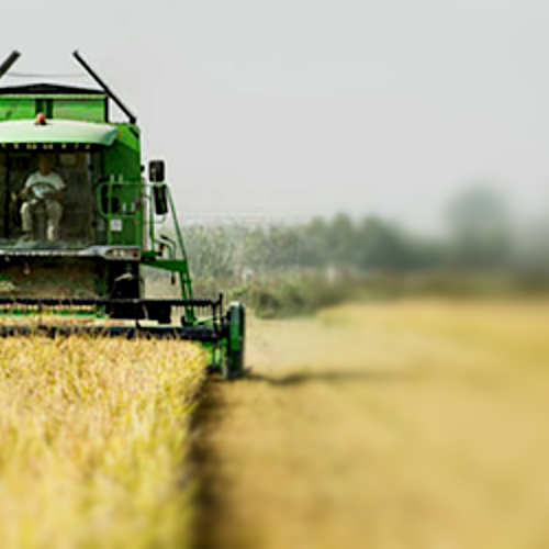 Sindaci, agricoltori e università si incontrano in Lomellina per lo sviluppo rurale