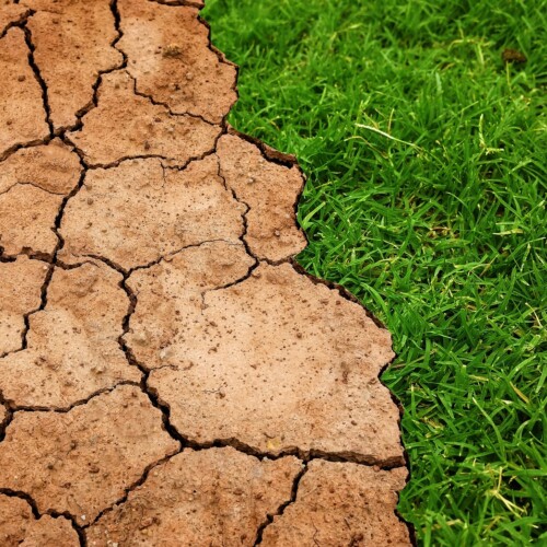 A Milano il 2022 è stato l’anno più caldo e meno piovoso di sempre