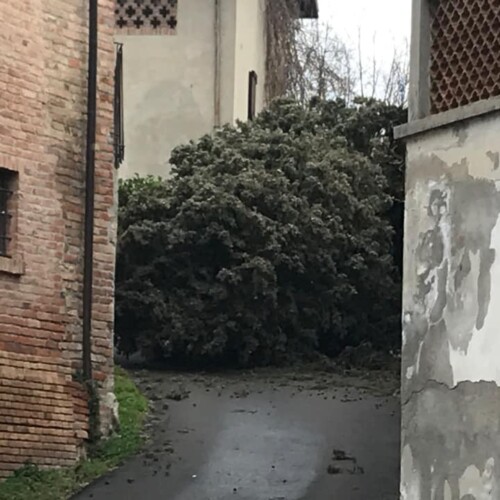 Vento forte, danni e disagi in tutta la provincia. A Fortunago raffiche da 115 km/h