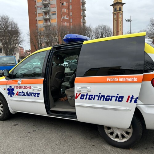 L’Ambulanza Veterinaria è guasta: appello dell’associazione A tutta Zampa per riprendere il servizio