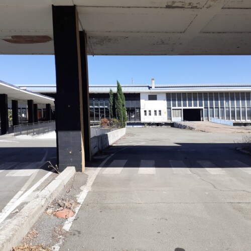 Campus universitario: “Il progetto procede e Palazzo Borsalino rimarrà attivo per 9 anni”