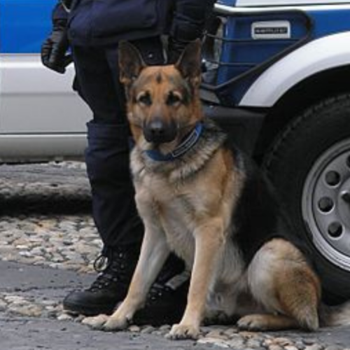 Smantellata centrale di spaccio a Monza. Disposte 13 misure cautelari