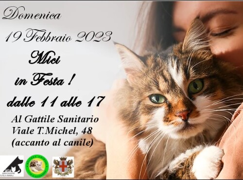 “Mici in Festa” domenica al Gattile Sanitario e per festeggiare i felini anche l’iniziativa “Io e il mio gatto”