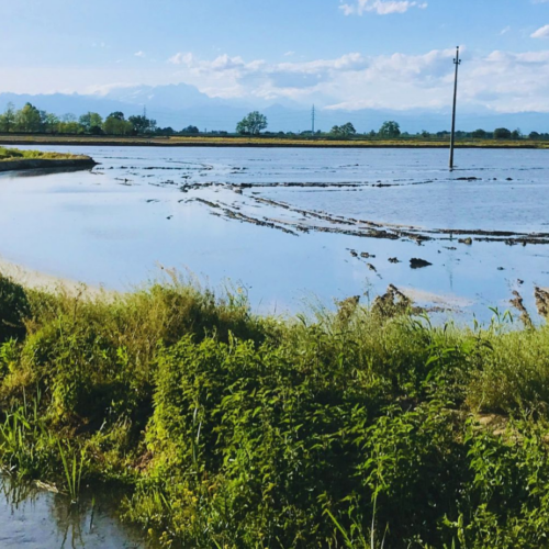 Nasce un tavolo istituzionale per la gestione dell’acqua in Lomellina