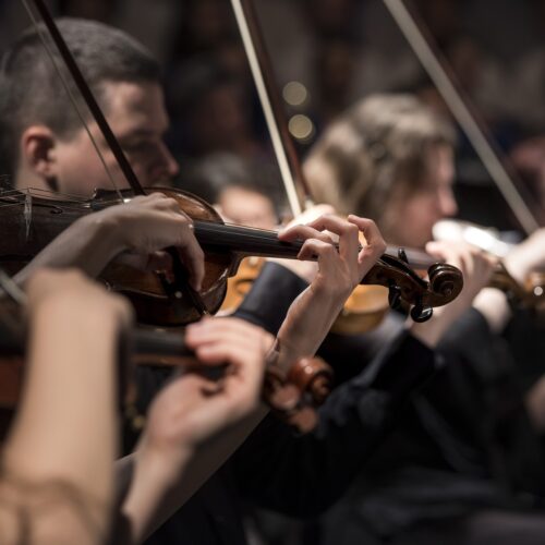 Cosa fare in provincia di Alessandria. Gli eventi di sabato 4 novembre