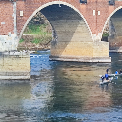 S.O.S. Ticino, associazioni del fiume di Pavia in raduno a fine mese