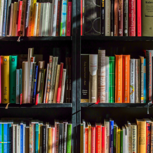 A Pavia riaprono le biblioteche di quartiere con un progetto di coinvolgimento e animazione