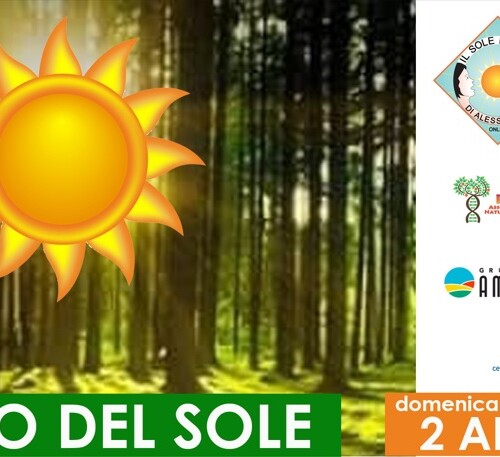 Nel Bosco del Sole un percorso in plastica riciclata accessibile a tutti. Domenica l’inaugurazione