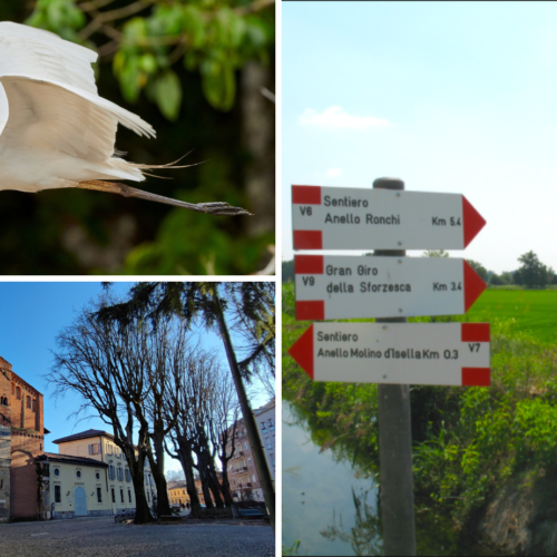 Cosa fare in provincia di Pavia. Gli eventi di domenica 5 marzo