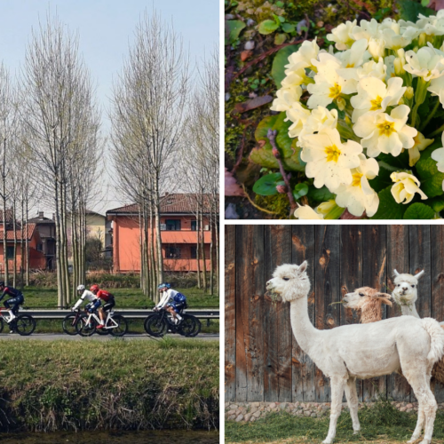 Cosa fare in provincia di Pavia. Gli eventi di sabato 18 marzo