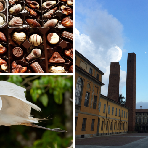Cosa fare in provincia di Pavia. Gli eventi di domenica 2 aprile