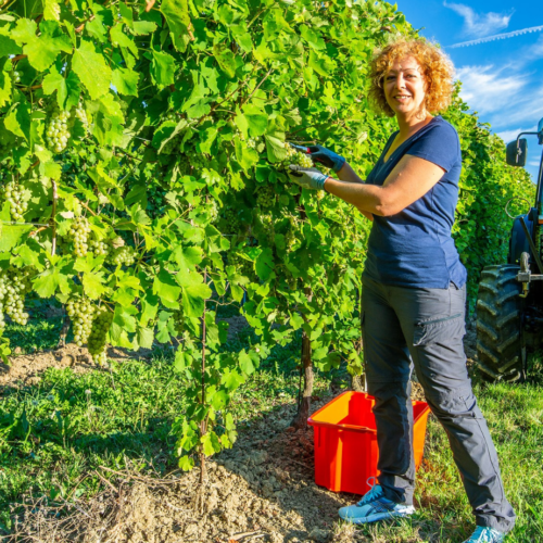 Donne in Campo-Cia: l’appello per più donne nei ruoli di leadership anche in agricoltura