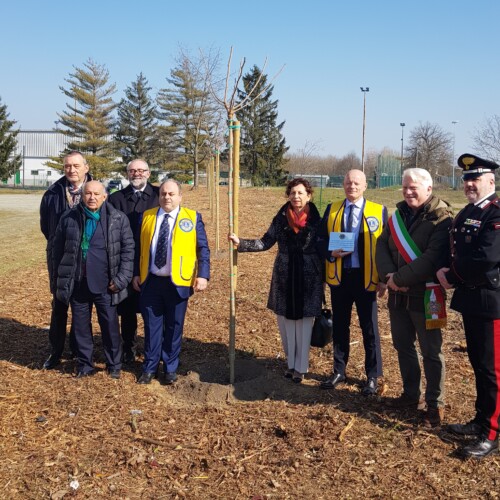 9 alberi di Gelso a Bosco Marengo per il Service “Bosco Diffuso Lions”