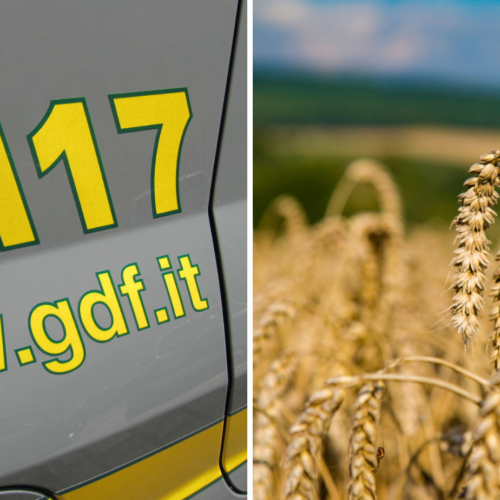 Pirateria agroalimentare, sequestrate 382 tonnellate di cereali dalla GdF. Coinvolto anche il pavese