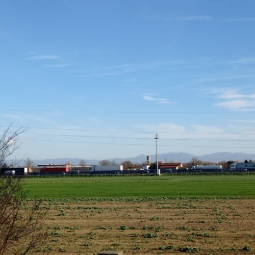 Incidente tra due automezzi sulla A21 dopo il casello di Felizzano: rimossi i veicoli. Coda in fase di risoluzione